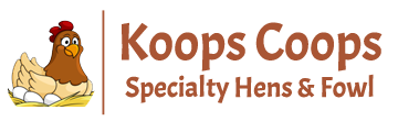KoopsCoops