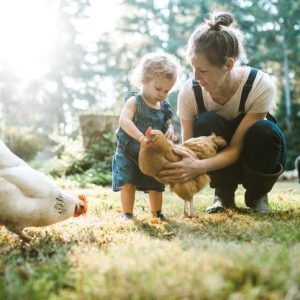 A Kid Friendly Chicken