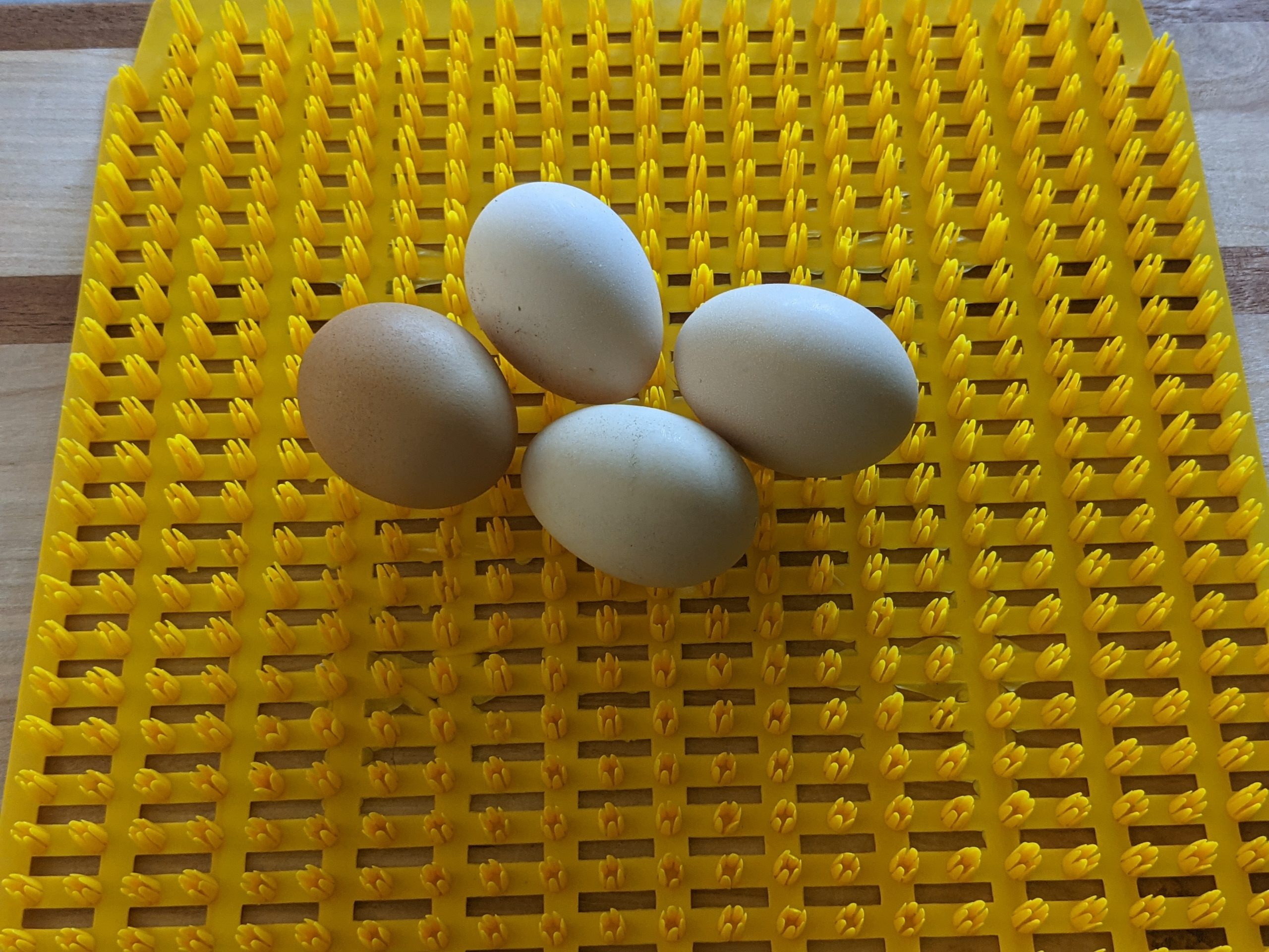 Washable Nesting Pads