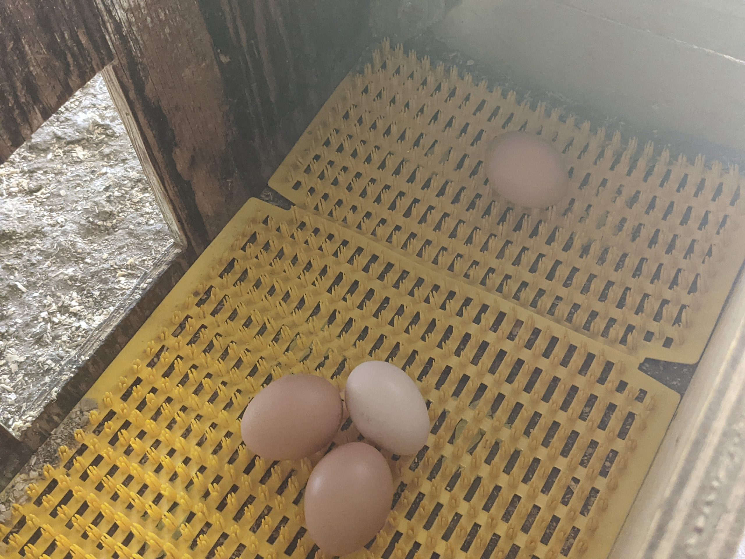 Washable Nesting Pads - Image 2