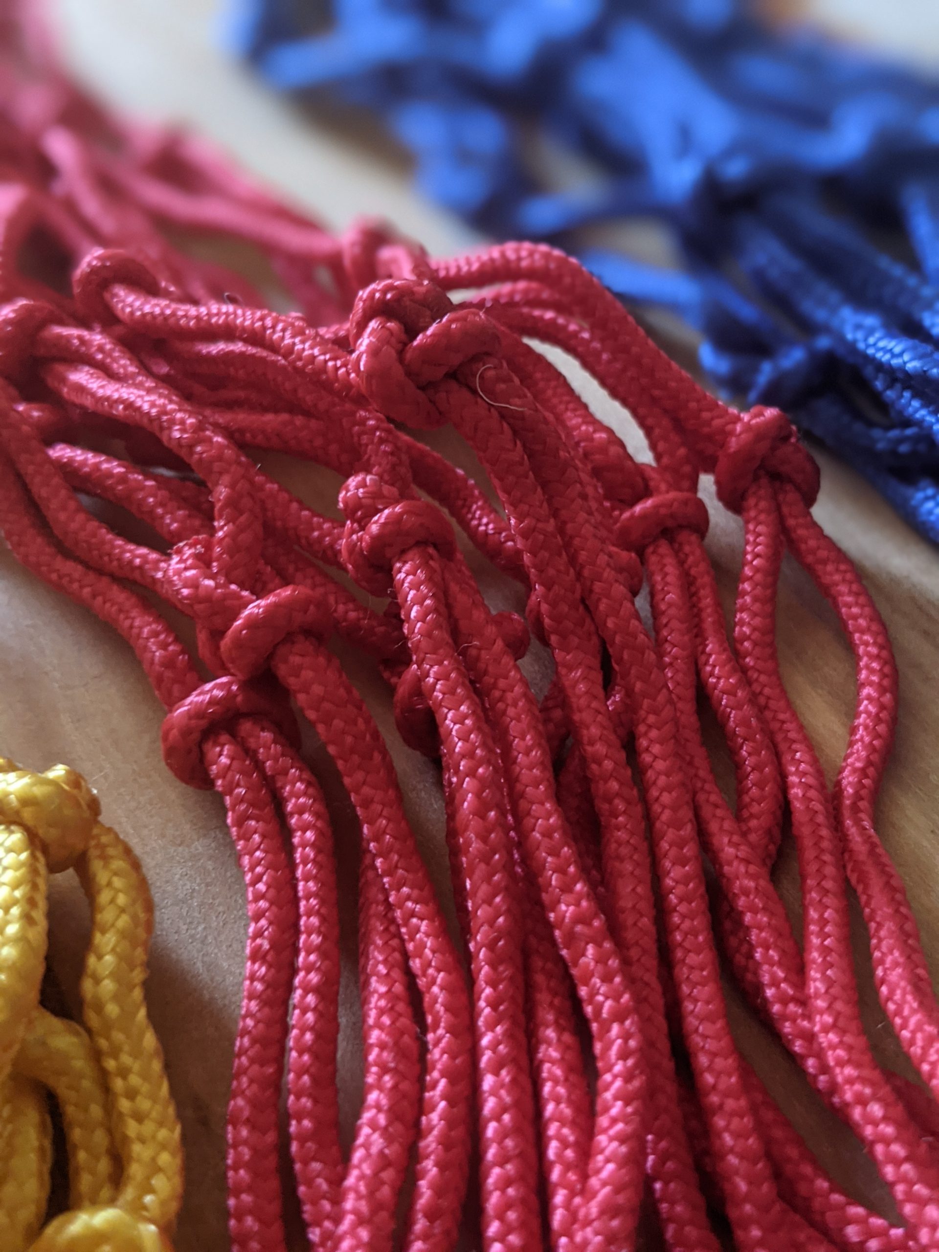 Hanging Net Feeder Toy - Image 3