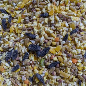 Our Custom Common Scratch Mix