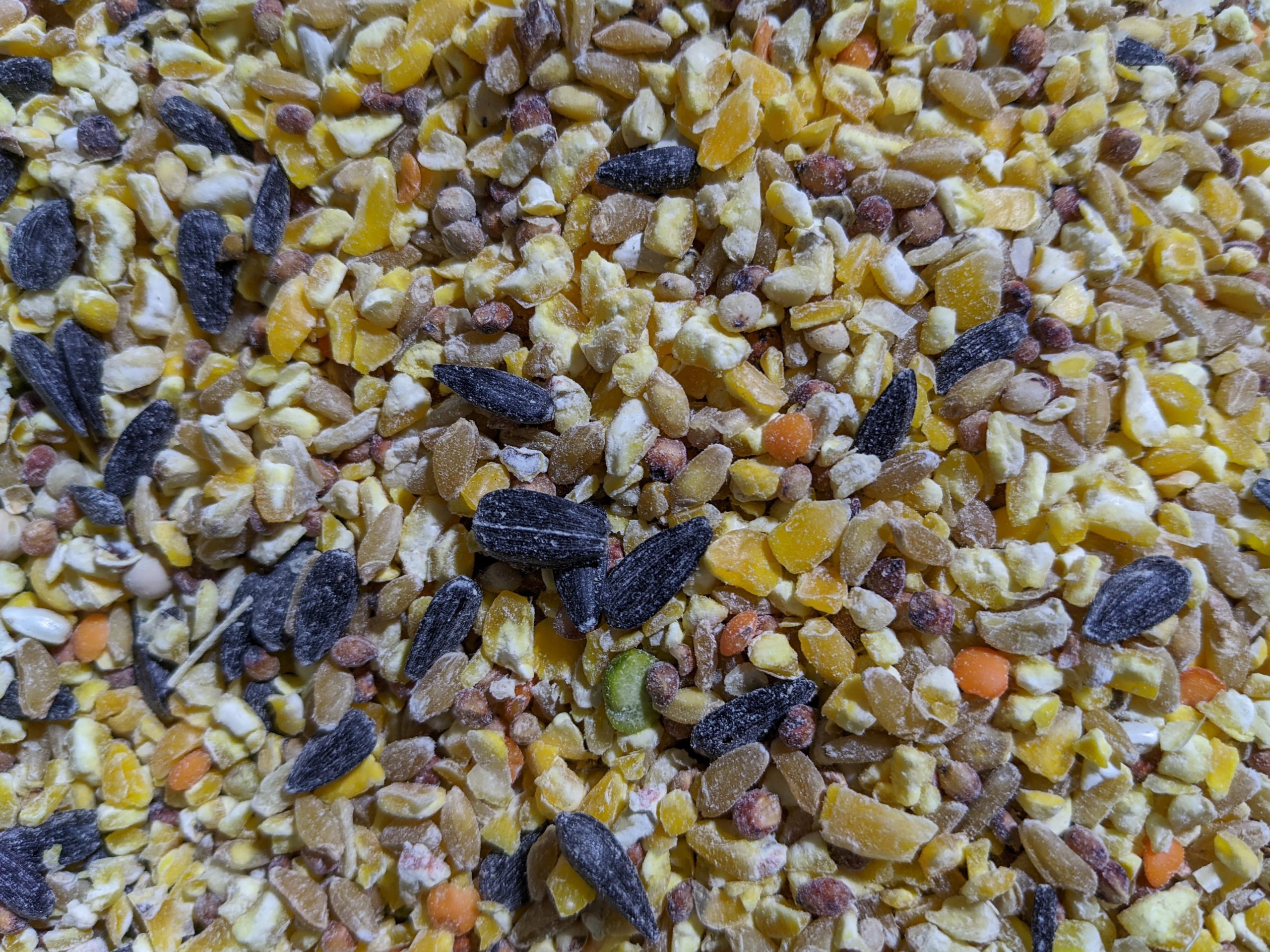 Our Custom Common Scratch Mix