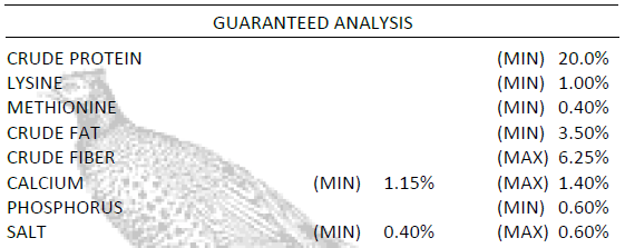 Waterfowl/Gamebird - Image 2