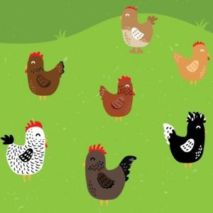 Cochin - Assorted Colors